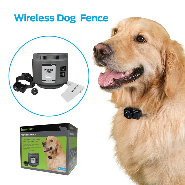 Premier pet wireless outlet add a dog collar